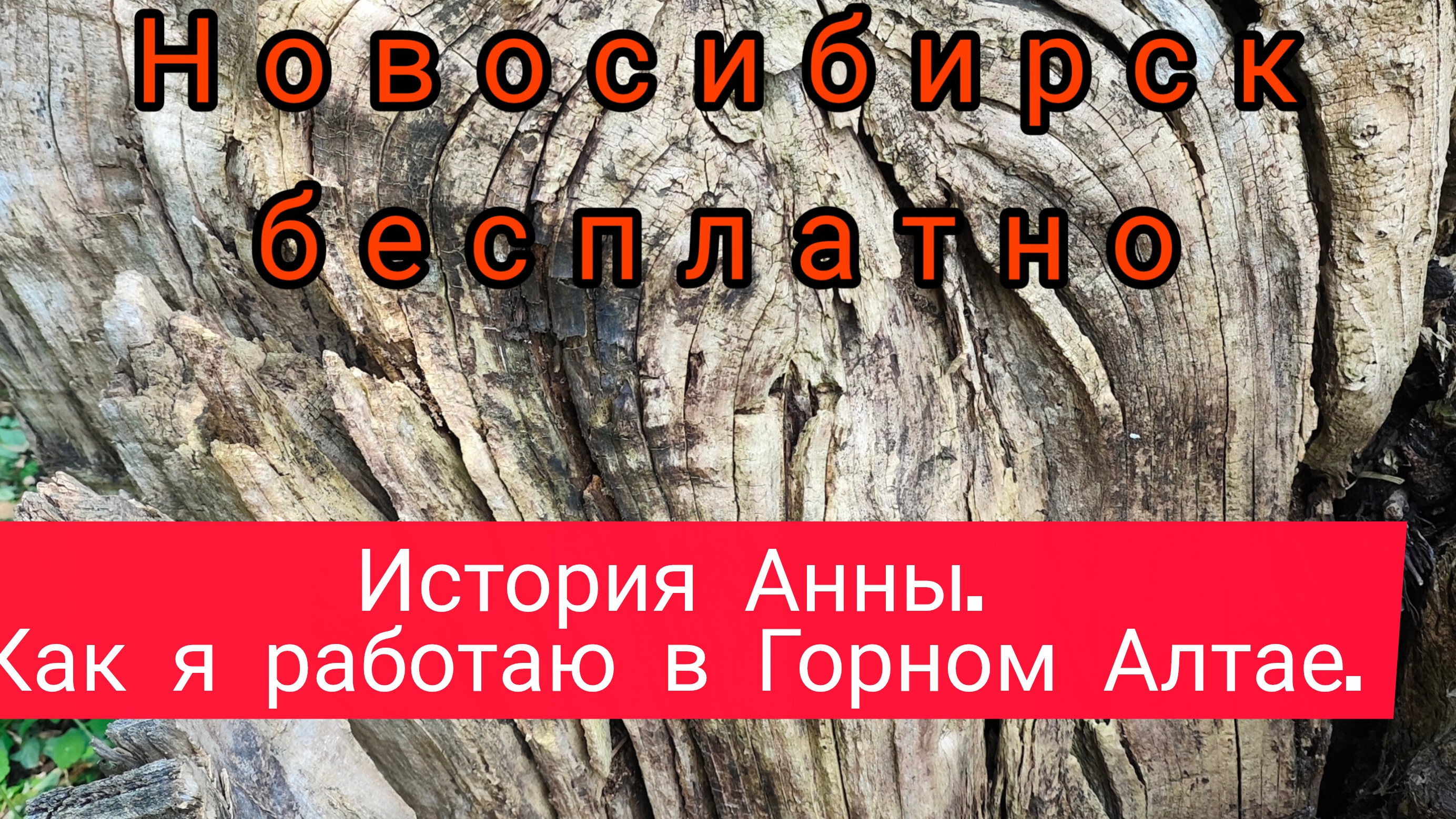 Посиделки пятничные.