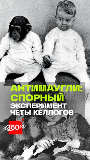 Мальчика и шимпанзе растили как брата и сестру