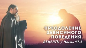 17.2. Нейросети: по одной схеме. Курение. Восстановл. Регуляции. 3 ошибки. Песня. Срыв vs равновесие