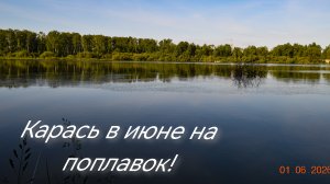 Карась на удочку! Рыбалка в июне! Выходной на пруду!