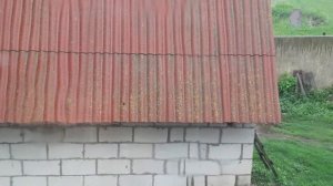 После аномальной жары..,погода нас не радует⛈️🌪