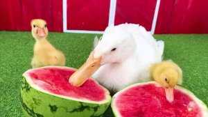 2 сезон мультика обезьянка
