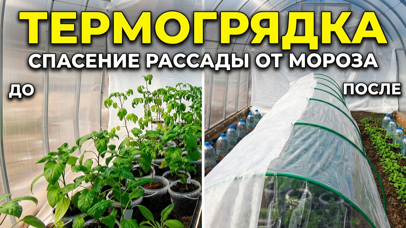 Термогрядка. Как ее сделать и сохранить рассаду  от холодов!
