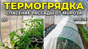 Термогрядка. Как ее сделать и сохранить рассаду  от холодов!