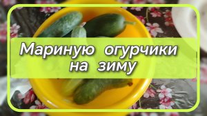 Мариную огурчики на зиму