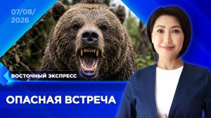 Медведи пугают дачников в Бурятии | «Восточный экспресс» | новости Улан-Удэ