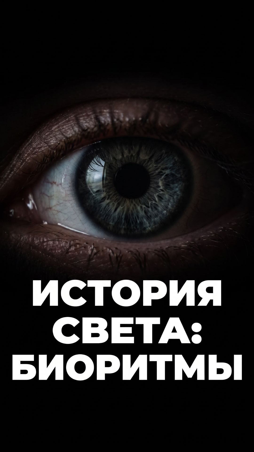 ИСТОРИЯ СВЕТА: БИОРИТМЫ