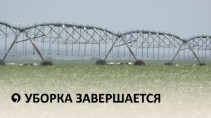 Уборочная кампания Ставропольского края близка к завершению