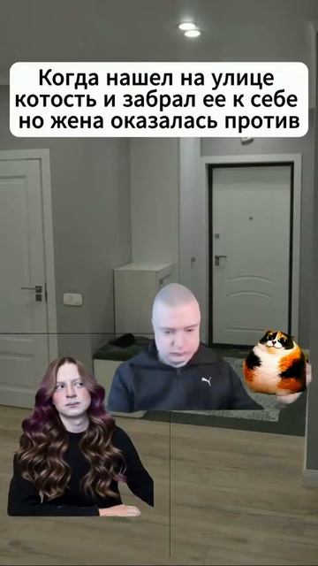 Котость