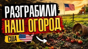 КАК ВЫЖИВАЮТ РУССКОЯЗЫЧНЫЕ НА ЗАГНИВАЮЩЕМ ЗАПАДЕ: ОБВОРОВАЛИ ОГОРОД В АМЕРИКЕ