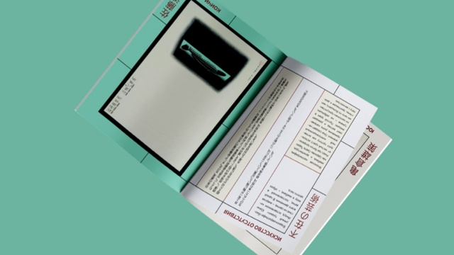 Книга Япония