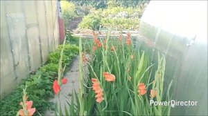 Вот и август наступил.