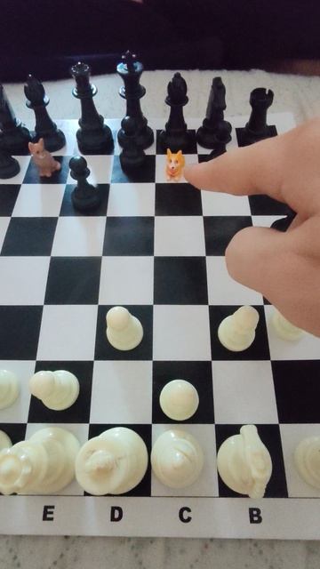 Собачка на шахматном поле