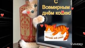 8 АВГУСТА - ВСЕМИРНЫЙ ДЕНЬ КОШЕК . С ПРАЗДНИКОМ НАШИХ ПУШИСТИКОВ!