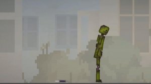 Melon infection 1