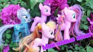 Обзор на моих новых пони