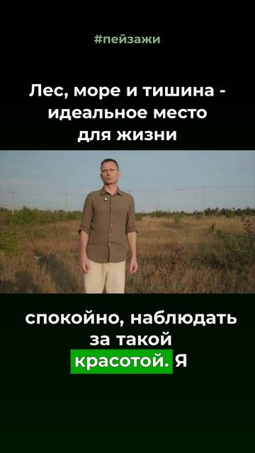 Лес море и тишина #пейзажи #тишина #медитация #лес #море