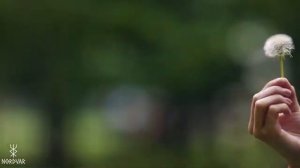 FLOWER CROWN | Nordic × Slavic Midsummer Folk Music | NORDVAR