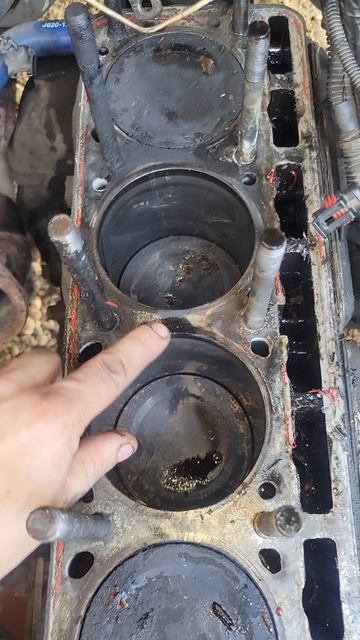 #Газель