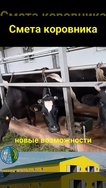Смета коровника