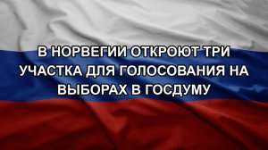 В Норвегии откроют три участка для голосования на выборах в Госдуму