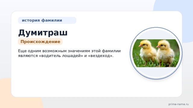 Фамилия Думитраш: происхождение, значение и склонение