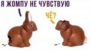 ШОКОЛАДНЫЕ ЗАЙЦЫ, ЛОООООЛ))) Приколы