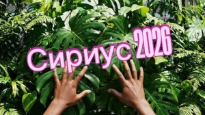 Прибытие в Сириус 🤩