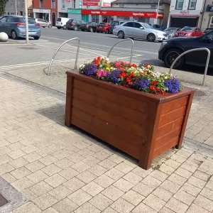 20260808 Tidy Town цветы на улицах Ирландского городка