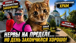 Семь кругов ада закончились… и мы нашли покой | Котёнок, больница и Пантелеймоновский храм