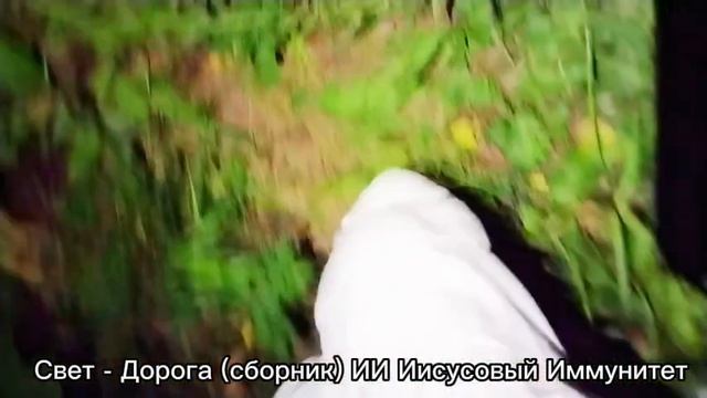 Свет - Дорога (сборник) ИИ Иисусовый Иммунитет