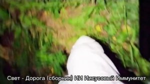 Свет - Дорога (сборник) ИИ Иисусовый Иммунитет