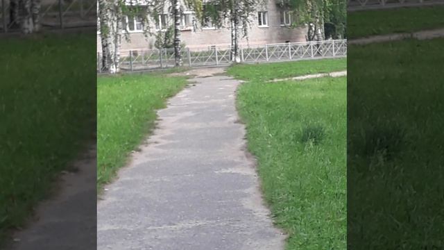 прогулка