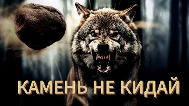 Камень не кидай