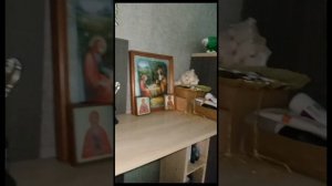 сегодня день хороший👍