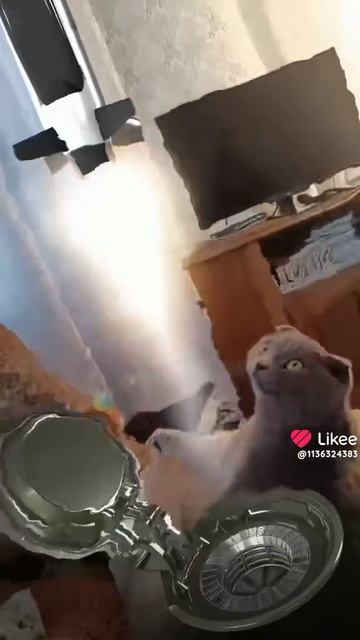 ЭЖээжэ