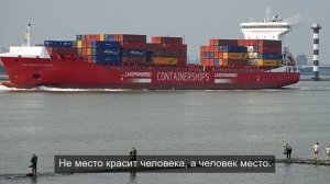 Осьминоги это кто
