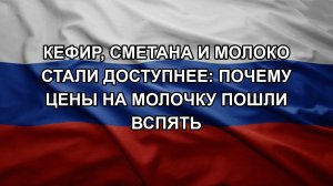 Кефир, сметана и молоко стали доступнее: почему цены на молочку пошли вспять