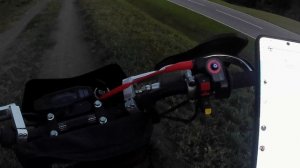79