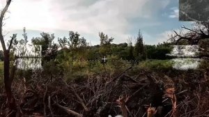 Добить все игрушки ХОХЛА
