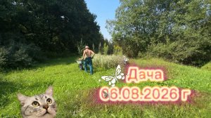 ДАЧА 6 АВГУСТА 2026 Г