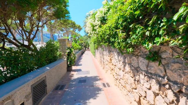 Капри прогулка по скалам морские виды птицы и живописные тропы 🌊🕊️