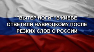 «Вытер ноги»: в Киеве ответили Навроцкому после резких слов о России