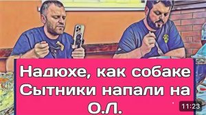 САМВЕЛ АДАМЯН, ОБЗОР ОТ ОЛЬГИ, ТАЙНЫЕ ФАЙЛЫ НАДЮХИ, СЫТНИКИ НАПАЛИ НА ОЛ, ГДЕ  СОВЕСТЬ..