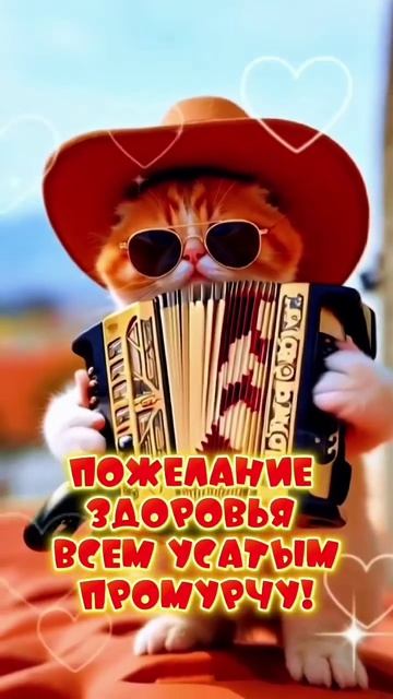 День кошек!!!