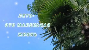 СЕГОДНЯ ДЕНЬ ВЛЮБЛЁННЫХ В ЛЕТО🌞🌴🏄🎇