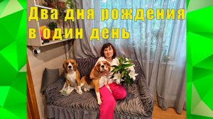 Я СОБАКИ И ЦВЕТЫ/ ДЕНЬ РОЖДЕНИЯ ДВОИХ 27 /29 июля 01 августа 2926