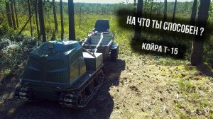 60 КМ СВОБОДЫ. ГДЕ-ТО НА СЕВЕРЕ.