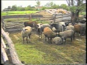 Реабилитационный центр Усть-Лабинск