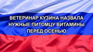 |Н. РФ| Ветеринар Кузина назвала нужные питомцу витамины перед осенью